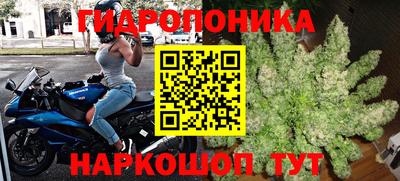jwh Гусиноозёрск