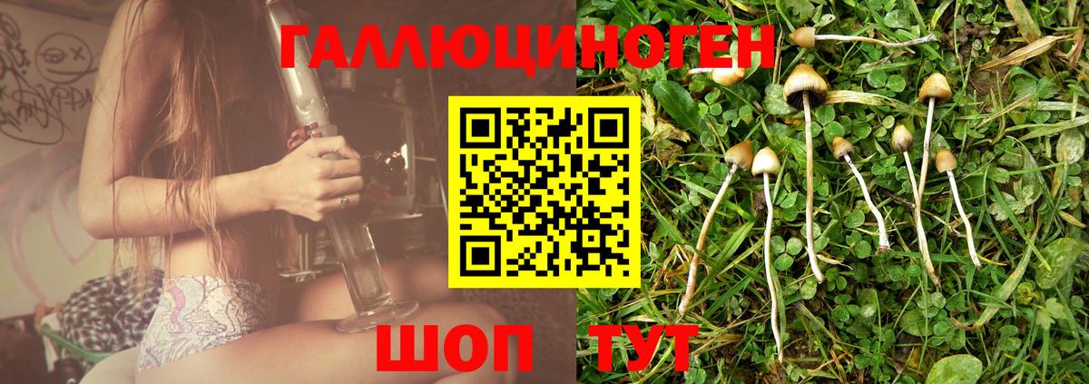 Назрань  Псилоцибиновые грибы мухоморы  Вход с VPN 